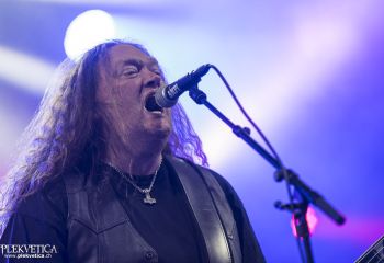 Unleashed - Photo by Dänu