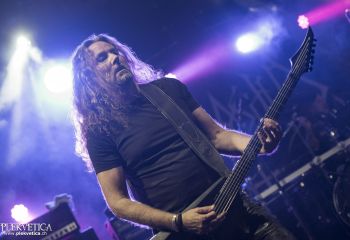 Unleashed - Photo by Dänu