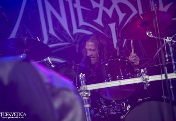 Unleashed - Photo by Dänu