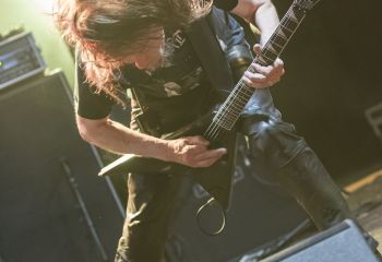 Unleashed - Photo by Dänu