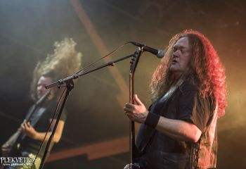 Unleashed - Photo by Dänu