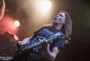 Unleashed - Photo by Dänu