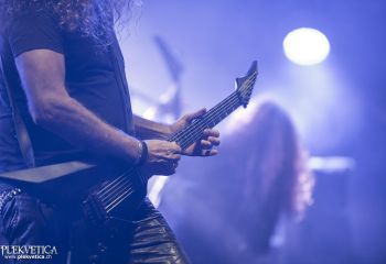 Unleashed - Photo by Dänu