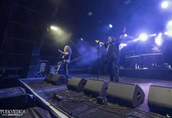 Unleashed - Photo by Dänu