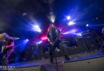 Unleashed - Photo by Dänu