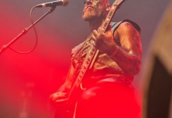 Varg - Z7 - 14.10.2022 - Photo By Peti