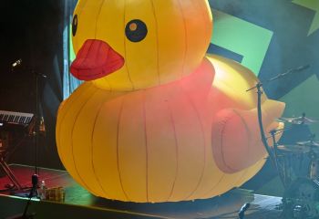 Alestorm - Photo By Peti