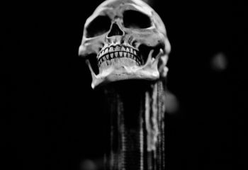 All For Metal -  Photo By Peti