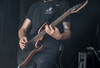 Among Vultures - Photo by Marc