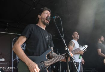 Among Vultures - Photo by Marc