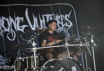 Among Vultures - Photo by Marc