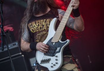 Amputate - Photo by Dänu