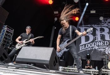 Bloodred Hourglass - Photo by Dänu