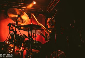 Brutus - Photo by Melumnia Photography