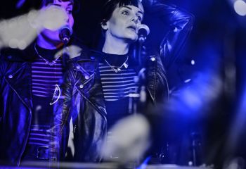 Creeper - Photo By Peti