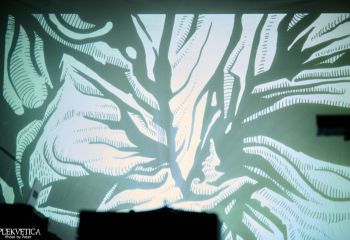 Dark Tranquillity - Photo By Peti