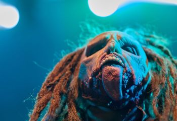 Dominum - Photo By Peti