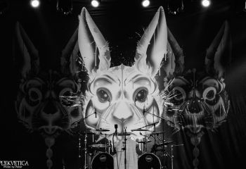 Frog Leap - Photo By Peti