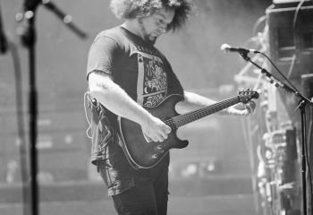 Frog Leap - Photo By Peti