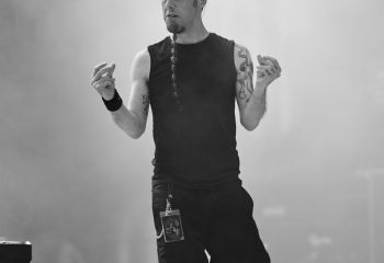 Frog Leap - Photo By Peti