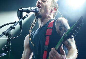 Frog Leap - Photo By Peti