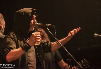 Graywolf - Photo by Dänu