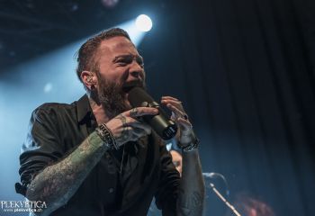 Graywolf - Photo by Dänu