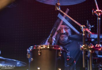 Graywolf - Photo by Dänu