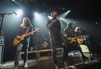 Graywolf - Photo by Dänu