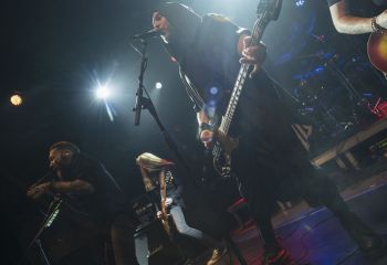 Graywolf - Photo by Dänu