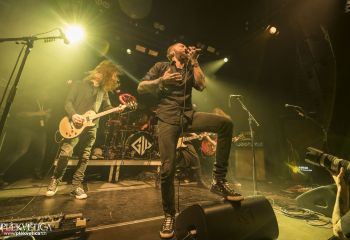 Graywolf - Photo by Dänu