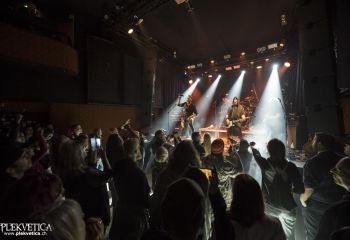 Graywolf - Photo by Dänu