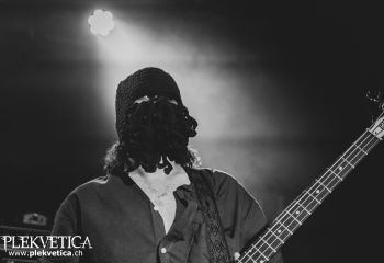 Honor - Photo by Roli