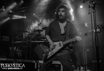 Honor - Photo by Roli