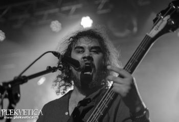 Honor - Photo by Roli