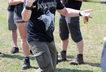 Mayflower - Photo By Peti