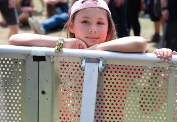 Mayflower - Photo By Peti