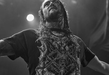 Ingested - Photo By Peti
