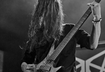 Ingested - Photo By Peti