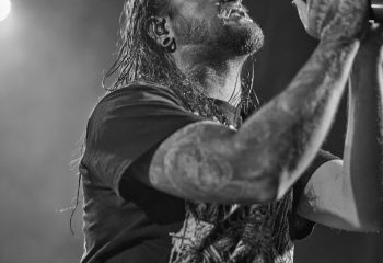 Ingested - Photo By Peti