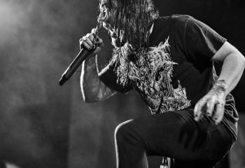 Ingested - Photo By Peti