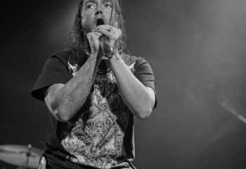 Ingested - Photo By Peti