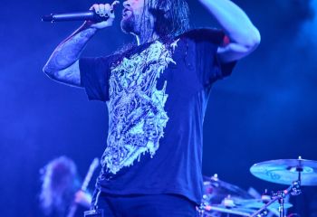 Ingested - Photo By Peti