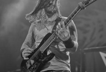 Ingested - Photo By Peti