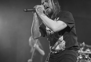 Ingested - Photo By Peti