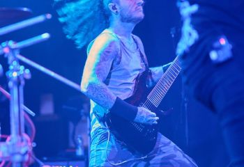 Ingested - Photo By Peti