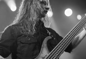 Ingested - Photo By Peti