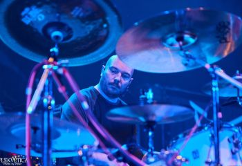 Ingested - Photo By Peti