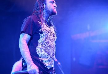 Ingested - Photo By Peti