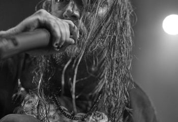 Ingested - Photo By Peti